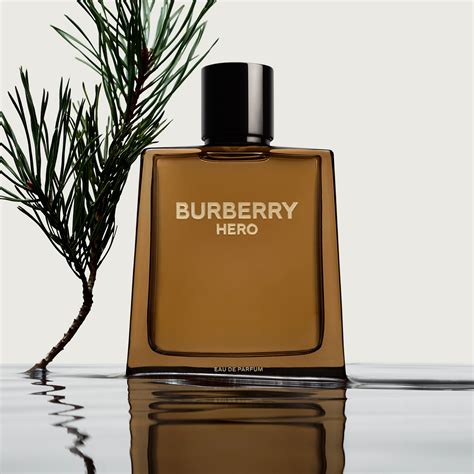 burberry cologne notes|burberry cologne for men new.